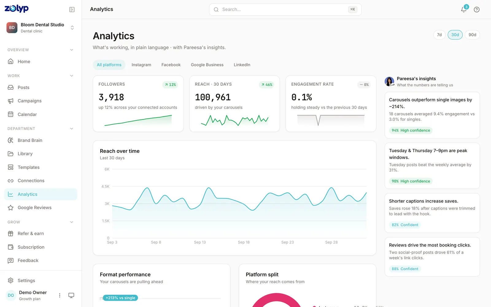 Zolyp's analytics: followers, reach and engagement for 30 days, reach over time, and Pareesa's insights