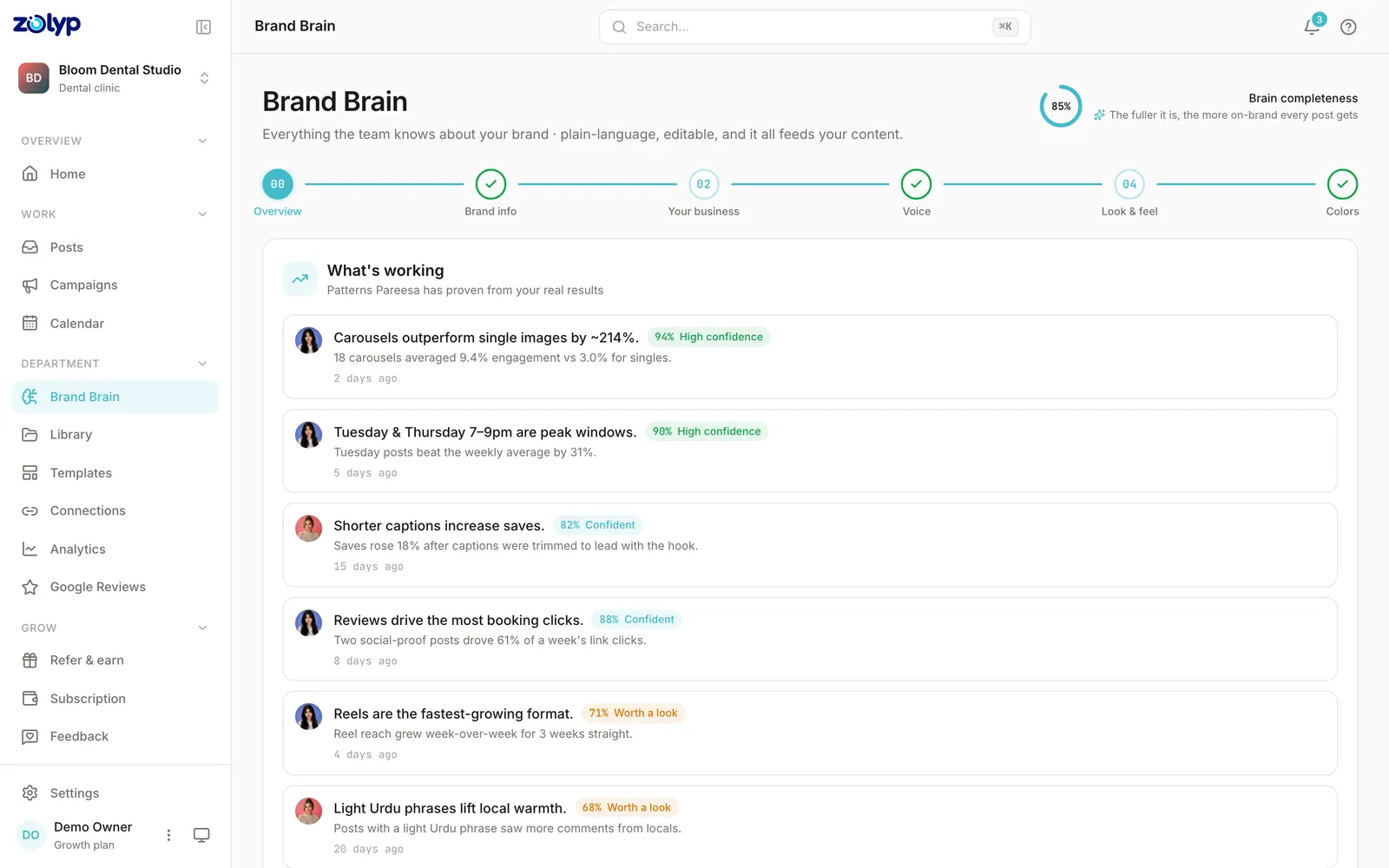 Zolyp's Brand Brain at 85% complete, with the patterns learned from the brand's results